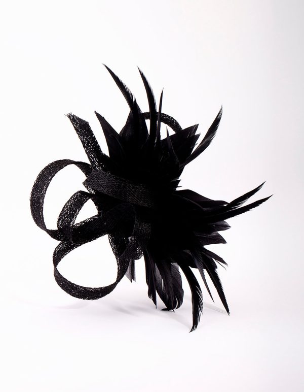 Black Feather Clip Jetzt online – Bild 2